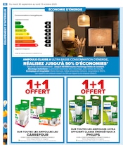 Ampoule Angebote im Prospekt "PRÉPAREZ L’AUTOMNE : JARDIN - BRICOLAGE" von Carrefour auf Seite 34