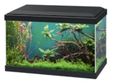 AQUARIUM CLASSIC NOIR + FILTRE CF40 - 20L - CIANO dans le catalogue Animalis
