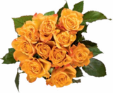 Aktuelles Edelrosen Angebot bei Netto Marken-Discount in Bremen ab 2,99 €