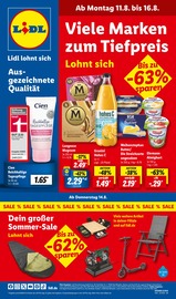 Aktueller Lidl Prospekt mit Eis, "LIDL LOHNT SICH", Seite 1