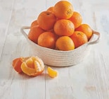 Promo Mandarine à 2,19 € dans le catalogue U Express à Bayeux