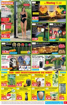 LED-Lampe im aktuellen Norma Prospekt (Mannheim) LED-Lampe im Norma Prospekt "Mehr fürs Geld" mit 20 Seiten (Mannheim)