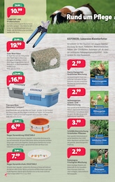 Kiebitzmarkt Katzennapf im Prospekt 