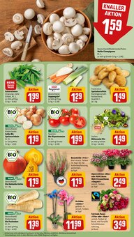 Tomaten im REWE Prospekt "Dein Markt" mit 32 Seiten (Aachen)