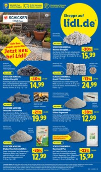 Pflanzen im aktuellen Lidl Prospekt (Aachen) Pflanzen im Lidl Prospekt "LIDL LOHNT SICH" mit 77 Seiten (Aachen)