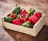 POIVRON ROUGE ET/OU VERT dans le catalogue Netto