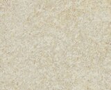 Frische deutsche Bio Poularde Angebote bei REWE Brühl für 1,59 €