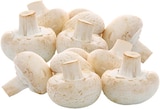 Aktuelle Champignons Angebote bei REWE in Bochum Aktuelles Weiße Champignons Angebot bei REWE in Bochum ab 1,59 €