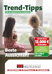 Götz + Moriz Prospekt für Endingen mit 9 Seiten Götz + Moriz Prospekt für Endingen: "Trend-Tipps für die energetische Sanierung", 9 Seiten, 09.05.2025 - 18.05.2025