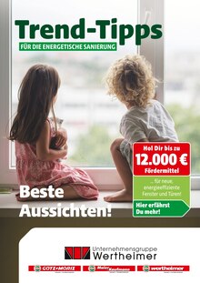 Götz + Moriz Prospekt Trend-Tipps für die energetische Sanierung mit  Seiten in Endingen (Kaiserstuhl) und Umgebung