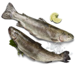 Aktuelle Forelle Angebote bei Kaufland in Jena Aktuelles Regenbogenforelle Angebot bei Kaufland in Jena ab 1,11 €