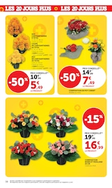 Promos Chrysanthèmes dans le catalogue "LES 20 JOURS PLUS" de Super U Chrysanthèmes en promo dans le catalogue Super U à la page 38
