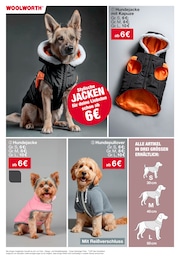 Woolworth Tierbedarf im Prospekt Woolworth Tierbedarf im Prospekt