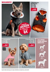 Ähnliche Tierdecken Angebote im Prospekt "Aktuelle Angebote" von Woolworth Ähnliches Angebot bei Woolworth in Prospekt "Aktuelle Angebote" gefunden auf Seite 17