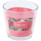 Bougie parfumée dans un verre Candra - Action à Soissons Bougie parfumée dans un verre Candra en promo chez Action Soissons à 0,99 €