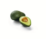 Avocado, lose  im aktuellen Lidl Prospekt für 0,99 €