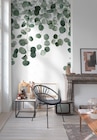 Papier Peint Panoramique Intissé - Eucalyptus Vert - Décor Discount à Toulouse Papier Peint Panoramique Intissé - Eucalyptus Vert en promo chez Décor Discount Toulouse à 39,90 €
