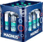 Magnus im Angebot bei EDEKA in Buchholz Magnus Angebote von Magnus bei EDEKA Buchholz für 3,99 €