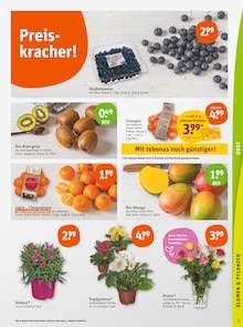 Obst im tegut Prospekt "tegut… gute Lebensmittel" mit 23 Seiten (Stuttgart)