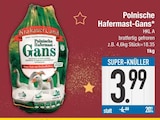 Polnische Hafermast-Gans von KrakauerLand im aktuellen EDEKA Prospekt für 3,99 €