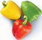 Aktuelles Paprika Mix Angebot bei Markant Nordwest in Bielefeld ab 1,77 €