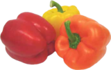 Mixpaprika im aktuellen V-Markt Prospekt für 1,59 €