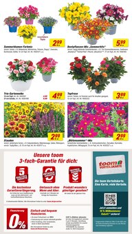 Blumen im toom Baumarkt Prospekt "Respekt, wer's selber macht." mit 20 Seiten (Karlsruhe)
