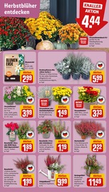 Aktueller REWE Prospekt mit Kochtopf, "Dein Markt", Seite 5