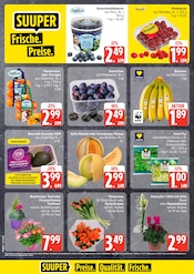 Ähnliche Spargel Angebote im Prospekt "Top Angebote" von EDEKA in Flensburg Ähnliche Angebote wie Spargel im Prospekt "Top Angebote" auf Seite 2 von EDEKA in Flensburg