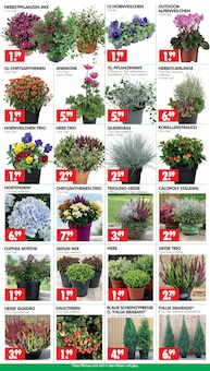 Wreesmann Prospekt der KW 38 "DEIN SAISON- & SONDERPOSTENMARKT!" Aktueller Wreesmann Prospekt "DEIN SAISON- & SONDERPOSTENMARKT!" Seite 2 von 8 Seiten