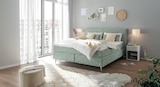 Aktuelle Bett Angebote bei Möbel Inhofer in Reutlingen Aktuelles Boxspringbett Angebot bei Möbel Inhofer in Reutlingen ab 2.442,12 €