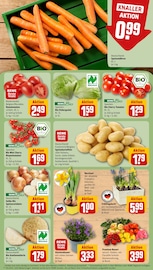 Ähnliche Hortensie Angebote im Prospekt "Dein Markt" von REWE in Mettmann Ähnliche Angebote wie Hortensie im Prospekt "Dein Markt" auf Seite 7 von REWE in Mettmann