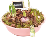 Frühlings-Mix „Pastell“ im Angebot bei Hornbach in Haltern am See Frühlings-Mix „Pastell“ Angebote bei Hornbach Haltern am See für 9,99 €