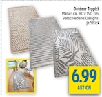 Aktuelles Outdoor Teppich Angebot bei diska in Chemnitz ab 6,99 €