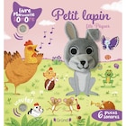 Opération Pâques - Petit lapin fête Pâques en promo chez Carrefour Aulnay-sous-Bois à 14,95 €