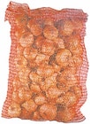 XXL-Sack Deutsche Speisezwiebeln Angebote bei Thomas Philipps Magdeburg für 2,49 €