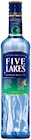 Vodka von Five Lakes im aktuellen REWE Prospekt für 9,99 €