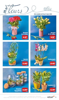 Promo Plantes dans le catalogue Colruyt du moment à la page 15