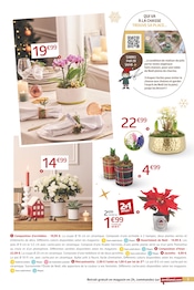 Promos Jardinière dans le catalogue "TABLE EN FÊTE DÉCROCHEZ DES ÉTOILES !" de Jardiland à la page 3