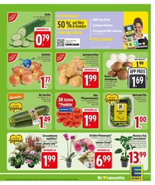 Champignons im EDEKA Prospekt "Wir lieben Lebensmittel." auf Seite 5