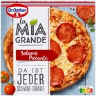 La Mia Grande Salame Piccante im Angebot bei REWE in Mühlhausen La Mia Grande Salame Piccante Angebote von Dr. Oetker bei REWE Mühlhausen für 3,49 €