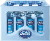 Mineralwasser im Angebot bei Netto Marken-Discount in Dinslaken Mineralwasser Angebote von Salvus bei Netto Marken-Discount Dinslaken für 2,99 €