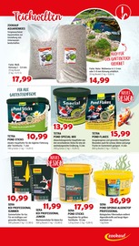 Ähnliche Angebote wie Aquariumpflanzen im Prospekt "Tierische Angebote für ECHTE FRÜHLINGSGEFÜHLE" auf Seite 11 von Zookauf in Remscheid