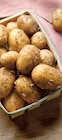 Pomme de Terre Primeur - Intermarché à Angers Pomme de Terre Primeur en promo chez Intermarché Angers à 3,19 €