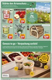 Ähnliche Vogelhaus Angebote im Prospekt "Dein Markt" von REWE in Wetzlar Ähnliche Angebote wie Vogelhaus im Prospekt "Dein Markt" auf Seite 29 von REWE in Wetzlar