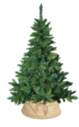 Sapin blooming en promo chez La Foir’Fouille Poitiers à 29,99 €