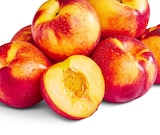 Aktuelles Nektarinen Angebot bei Penny in Duisburg ab 1,49 €