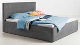 Aktuelles Polsterbett PARES Angebot bei Trends in Bochum ab 299,00 €