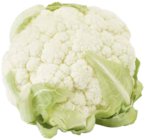 Blumenkohl im Angebot bei Marktkauf in Heilbronn Blumenkohl Angebote von Unsere Heimat – echt & gut bei Marktkauf Heilbronn für 1,49 €