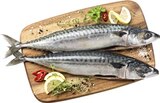 Makrelen mit Kopf im Angebot bei Kaufland in Konstanz Makrelen mit Kopf Angebote von K-BLUE BAY bei Kaufland Konstanz für 5,00 €